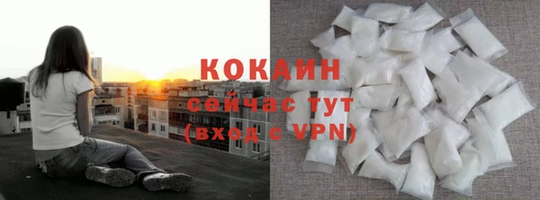 соль ск Арсеньев